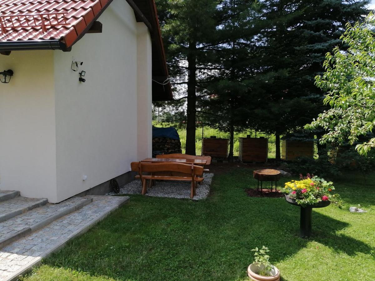 Domek Pod Karpaczem Myslakowice Ngoại thất bức ảnh